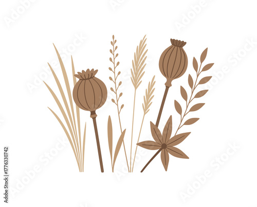 dried seed pods and grasses arranged aesthetically calm nature scene no outline flat vector illustration style isolated on white background muted tones