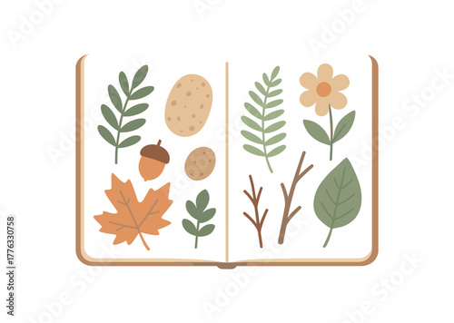 open sketchbook with nature finds arranged thoughtfully no outline flat vector illustration style isolated on white background gentle tones
