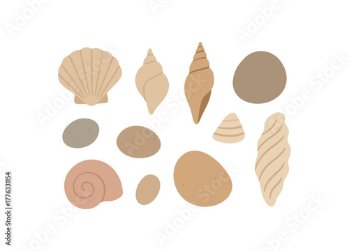 arrangement of seashells and pebbles calm natural collection aesthetic no outline flat vector illustration style isolated on white background soft muted tones