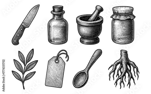Vintage kitchen tools and herbs: engraved style elements for culinary design