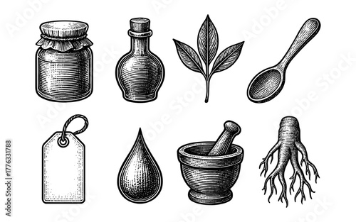 Vintage hand drawn herbal elements set with leaves, bottles, and roots