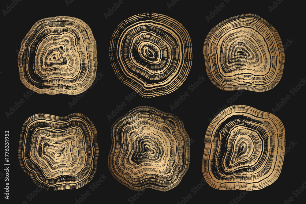 Naklejka premium Set of golden linear tree stump prints. Wooden silhouette. Wood texture with concentric rings. Collection of wood in cross section. Golden wood annual rings textures. Tree ring pattern