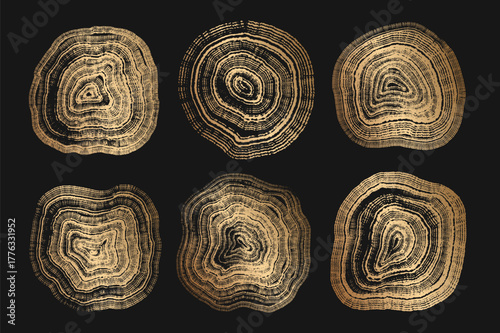 Set of golden linear tree stump prints. Wooden silhouette. Wood texture with concentric rings. Collection of wood in cross section. Golden wood annual rings textures. Tree ring pattern