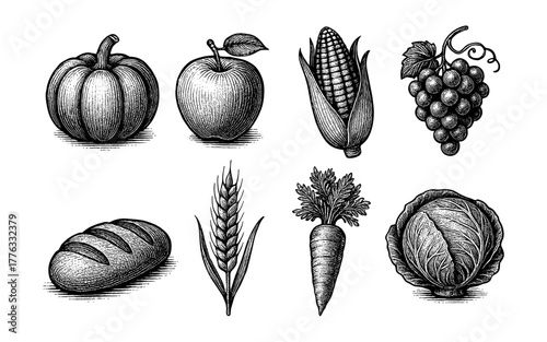 Vintage engraving style: harvest fruits and vegetables collection