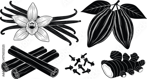 Black and white illustration of spices including vanilla and cocoa