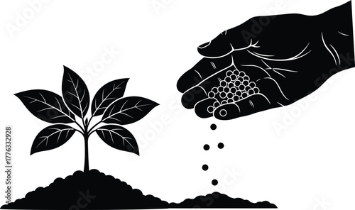 Hand fertilizing a plant with seeds in black and white illustration
