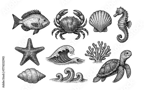 Hand drawn marine life collection featuring sea creatures and ocean elements