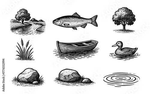 Classic nature elements in vintage engraving style featuring trees, fish, and river scenes
