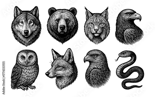 Detailed black and white animal portraits featuring wildlife heads