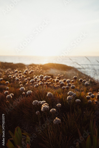 Rota Vicentina, cammino portoghese e paesaggi 