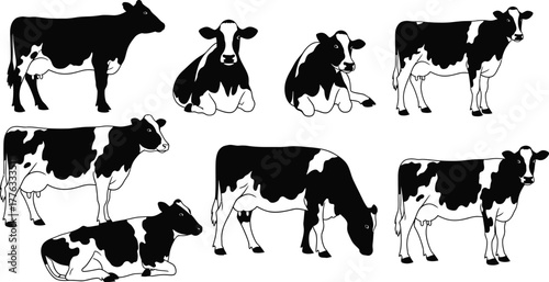 Illustration of seven black and white cows in various positions on white
