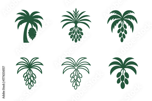 Date Palm Logos. Date palm. Set Logo of Date palm: clustered date bunch under fronds. harmonious logo variations of the same emblematic concept, each with