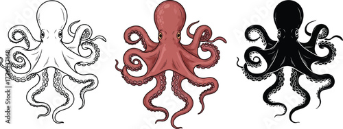 Octopus illustration vector drawing marine life sea animal art