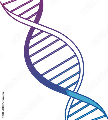 Dna double helix gradient illustration, genetic code blueprint