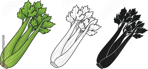 Celery stalks fresh vegetable healthy eating vector illustration