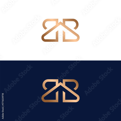 Luxury monogram twin B logo design