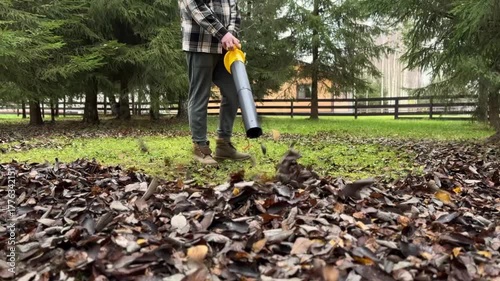 Cordless Leaf Blowers. handheld, cordless, electric leaf blower in a garden, selective focus. Autumn, fall gardening works in a backyard, on a lawn, grass. Garden works.