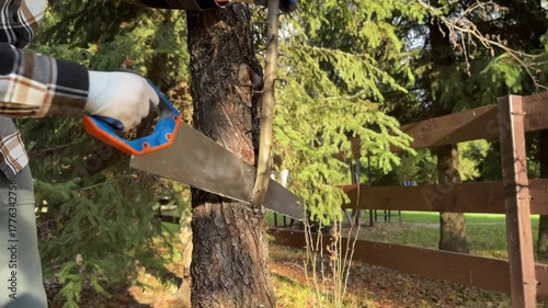 A man cuts tree branches with a handsaw