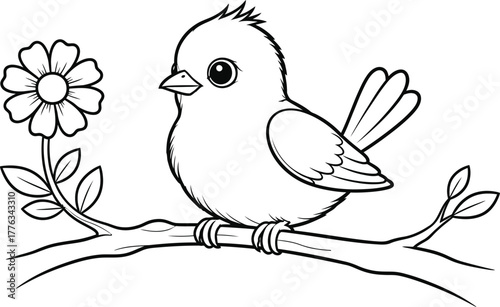 Bird coloring page cute bird on branch with flower line art