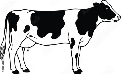 Black and white cow vector illustration dairy farm animal art