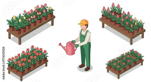 Gardener tending to potted flowers in isometric greenhouse garden scene