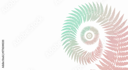 Fern spiral, a delicate fractal pattern against clean white provides visual interest. Fractal elements of fern spiral evoke nature's geometry and delicate symmetry.