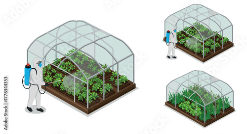 Gardener in protective suit spraying greenhouse plants with pesticide in isometric view