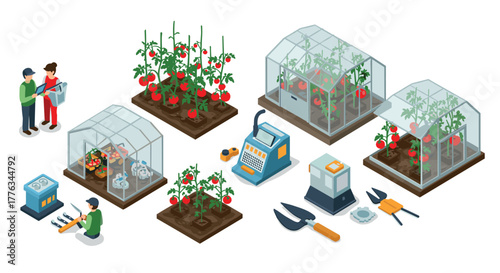 Isometric greenhouse farming setup with tomatoes and equipment for sustainable agriculture