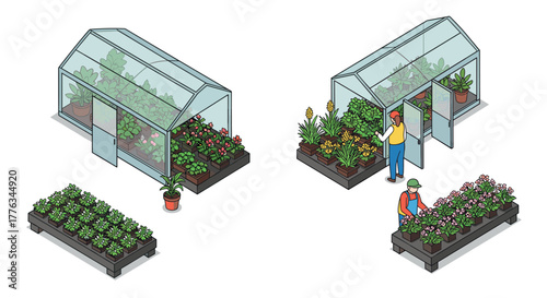 Isometric greenhouse gardening with people caring for plants in urban gardens