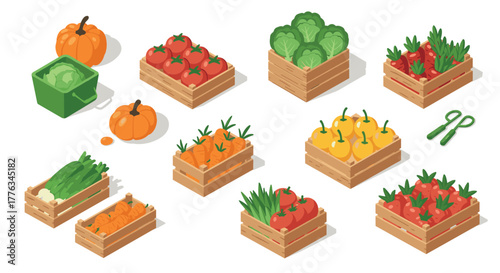 Colorful harvest fresh vegetables in wooden crates with isometric design