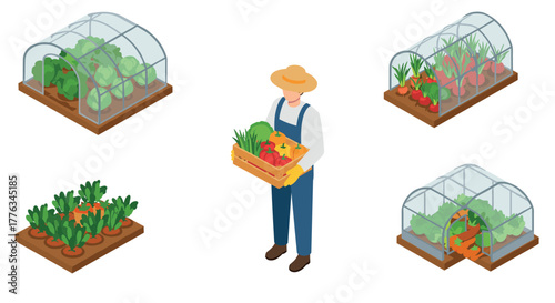 Isometric farming scene with greenhouses and farmer holding fresh vegetables