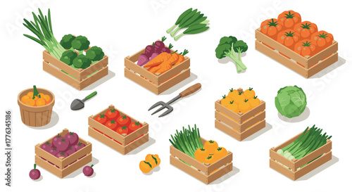 Fresh farm vegetables in wooden crates for harvest season isometric illustration