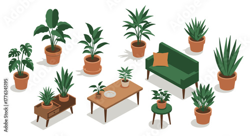 Modern indoor plant arrangement with midcentury furniture in isometric style