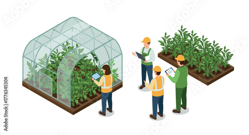 Isometric smart farming with modern greenhouse technology and team
