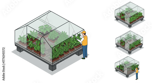 Isometric greenhouse with worker watering plants in 3d perspective