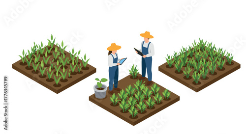 Isometric farm plots with farmers analyzing crop growth