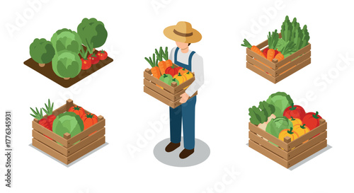 Farmer with harvest in isometric garden scene with fresh produce and vegetables