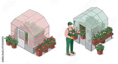 Gardener in isometric greenhouse with potted plants and flower pots