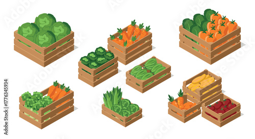 Colorful assorted vegetables in wooden crates isometric design