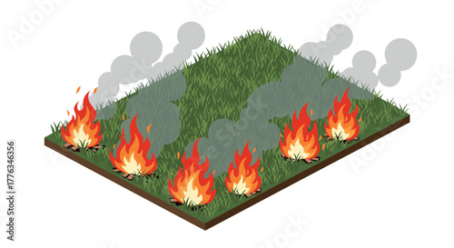 Isometric burning field with flames and smoke elements