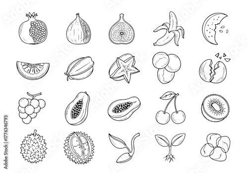 Fruit and Seed Icons for Organic Labels