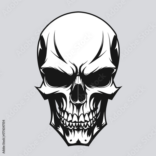 skull and crossbones vector icon photo art