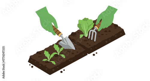 Gardening hands with trowel and fork in vegetable garden bed