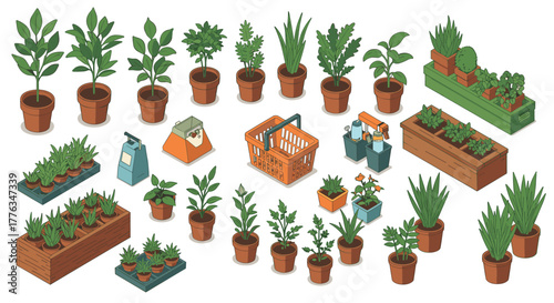 Diverse collection of potted plants and gardening tools in isometric style