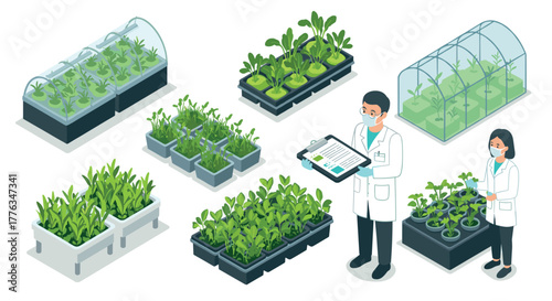 Scientists analyze indoor plant cultivation in hydroponic and greenhouse systems