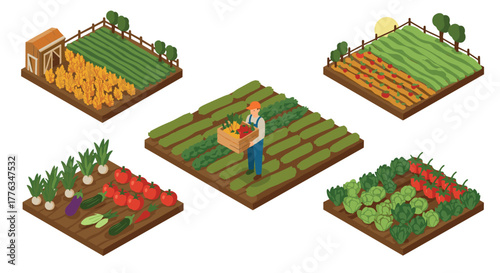 Isometric farm layout with crops and farmer in vibrant agricultural scene