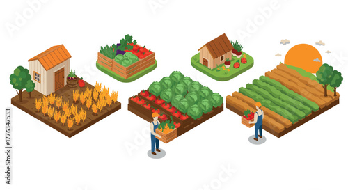 Isometric farm scenes with crops, farmers, and sunlit landscape