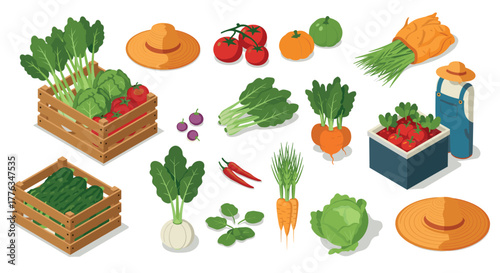 Vibrant garden harvest with fresh vegetables in isometric style