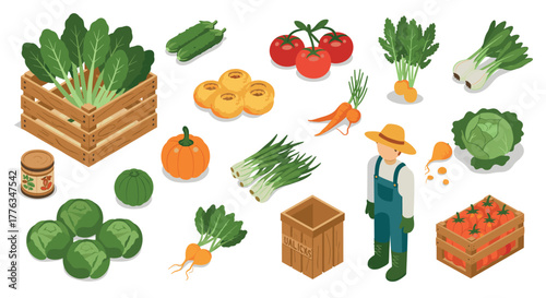Isometric farmer with organic vegetables and wooden crates on white background