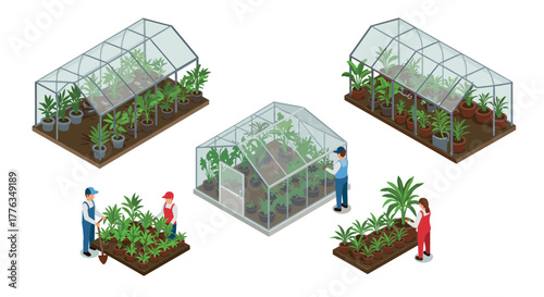 Isometric greenhouse scene with diverse plants and gardeners